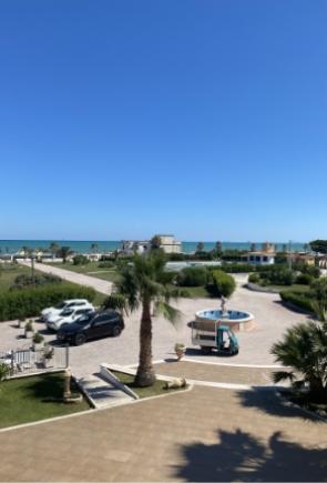 Vista panoramica di una residenza sul mare con palme e fontana.